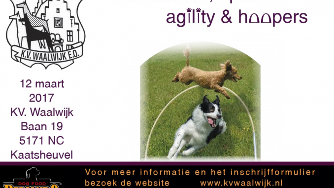 flyer hoopers agility kv waalwijk